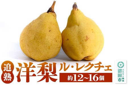 洋梨 追熟ル・レクチェ 約12～16個 果樹園マンサーナ