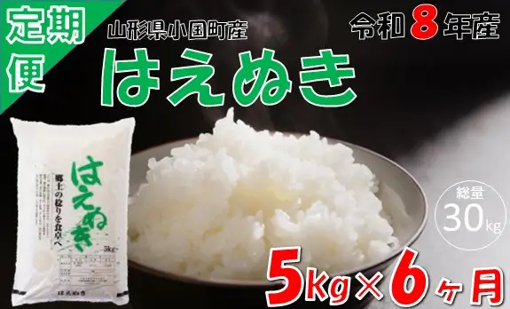【6回定期便】山形県小国町産 はえぬき5kg　計30kg　小国米穀商業協同組合