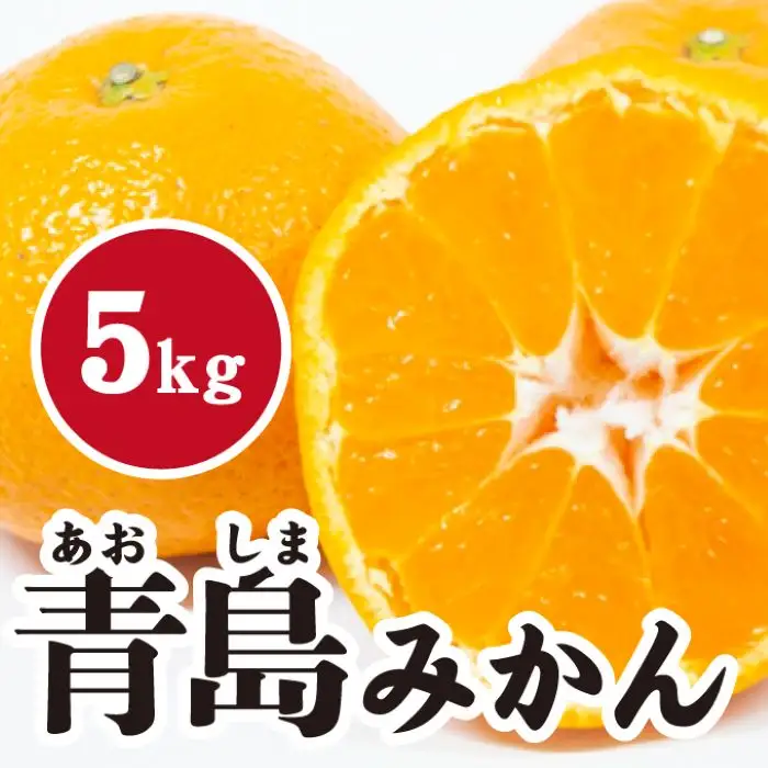 みかん【先行受付】【2027年1月末以降発送】 濃厚な甘さが特徴！青島みかん ＜約5kg＞ 広島 三原 佐木島 鷺島みかんじま 017054