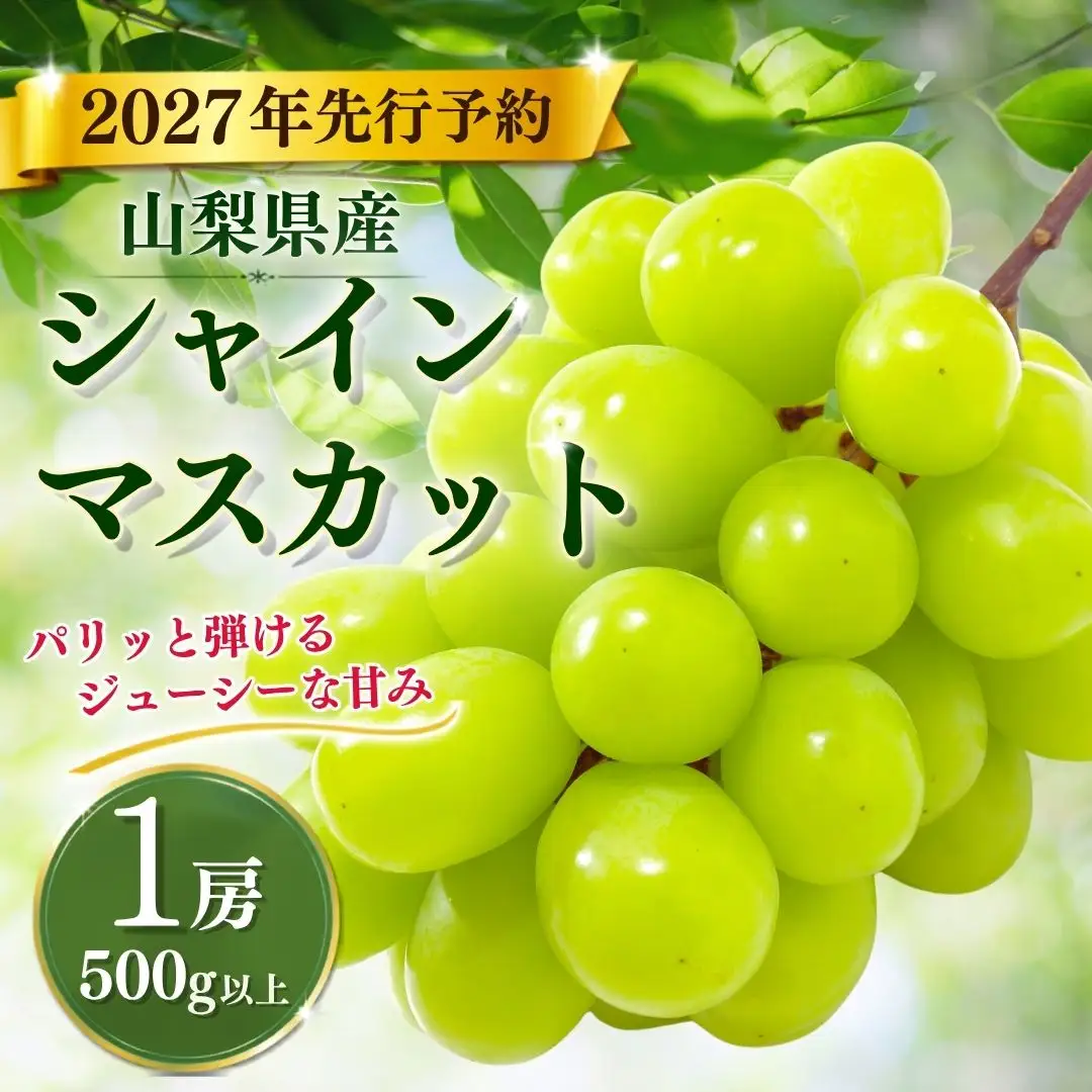 【【2027年　先行予約】山梨県産　シャインマスカット1房（500g以上） | フルーツ　シャイン　シャインマスカット　ぶどう　ブドウ　葡萄　