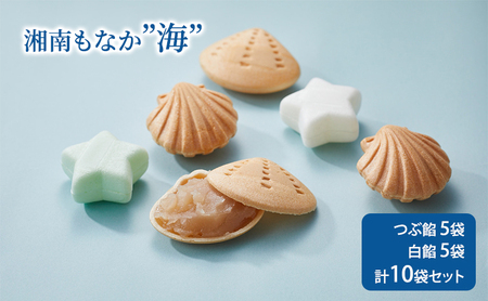 湘南もなか 10個 ｜【 モナカ 和菓子 】