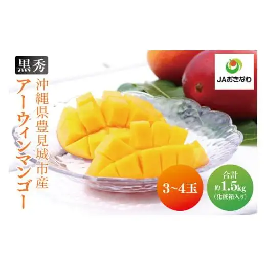 【先行受付】【2027年発送】豊見城産アーウィンマンゴー約1.5kg（化粧）黒秀 AE007
