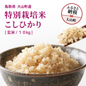 MR-14 減農薬・減化学肥料　特別栽培米こしひかり　10kg（玄米）