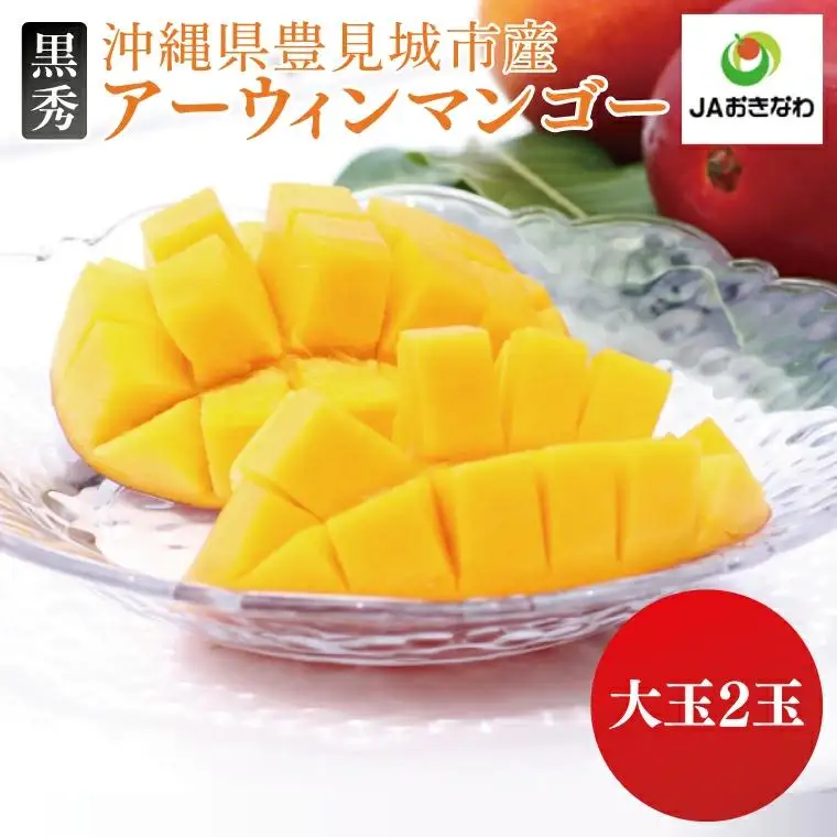 【先行受付】【2027年発送】豊見城産アーウィンマンゴー大玉（4L：2玉、化粧）黒秀 AE009