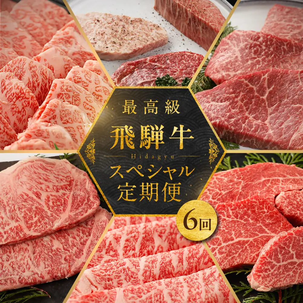 【定期便 6回】飛騨牛食べ尽くし定期便 6カ月（飛騨牛すき焼き 焼肉 ステーキ ）【冷凍】【22-B】