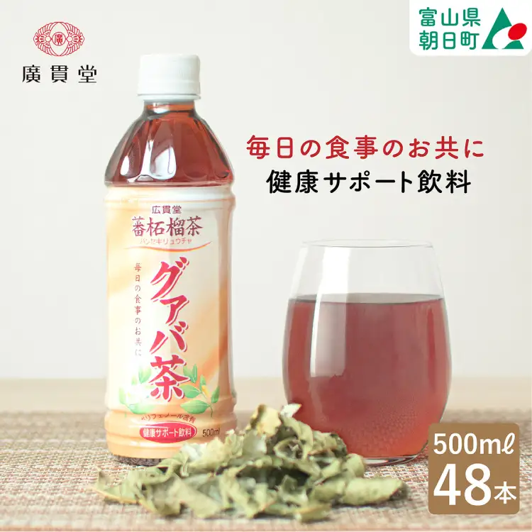 お茶 グァバ茶 500ml 24本 × 2ケース 計48本