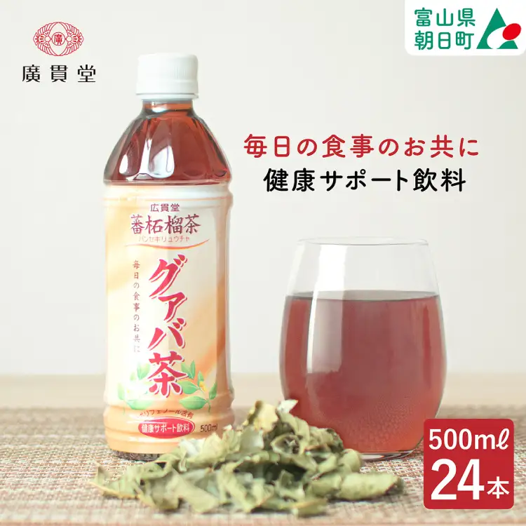 お茶 グァバ茶 500ml 24本 1ケース
