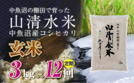 【定期便／全12回】玄米3kg　新潟県魚沼産コシヒカリ「山清水米」十日町市 米