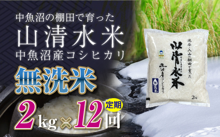 【定期便／全12回】無洗米2kg　新潟県魚沼産コシヒカリ「山清水米」十日町市 米