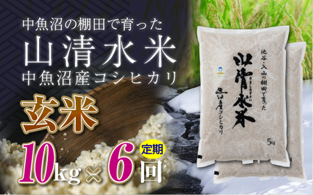 【定期便／全6回】玄米10kg　新潟県魚沼産コシヒカリ「山清水米」十日町市 米