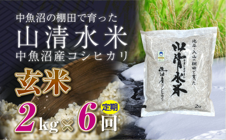 【定期便／全6回】玄米2kg　新潟県魚沼産コシヒカリ「山清水米」十日町市 米