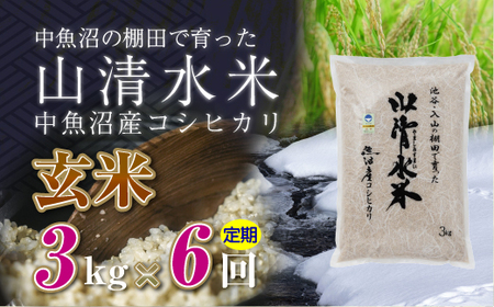 【定期便／全6回】玄米3kg　新潟県魚沼産コシヒカリ「山清水米」十日町市 米