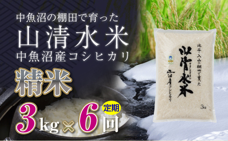 【定期便／全6回】精米3kg　新潟県魚沼産コシヒカリ「山清水米」十日町市 米