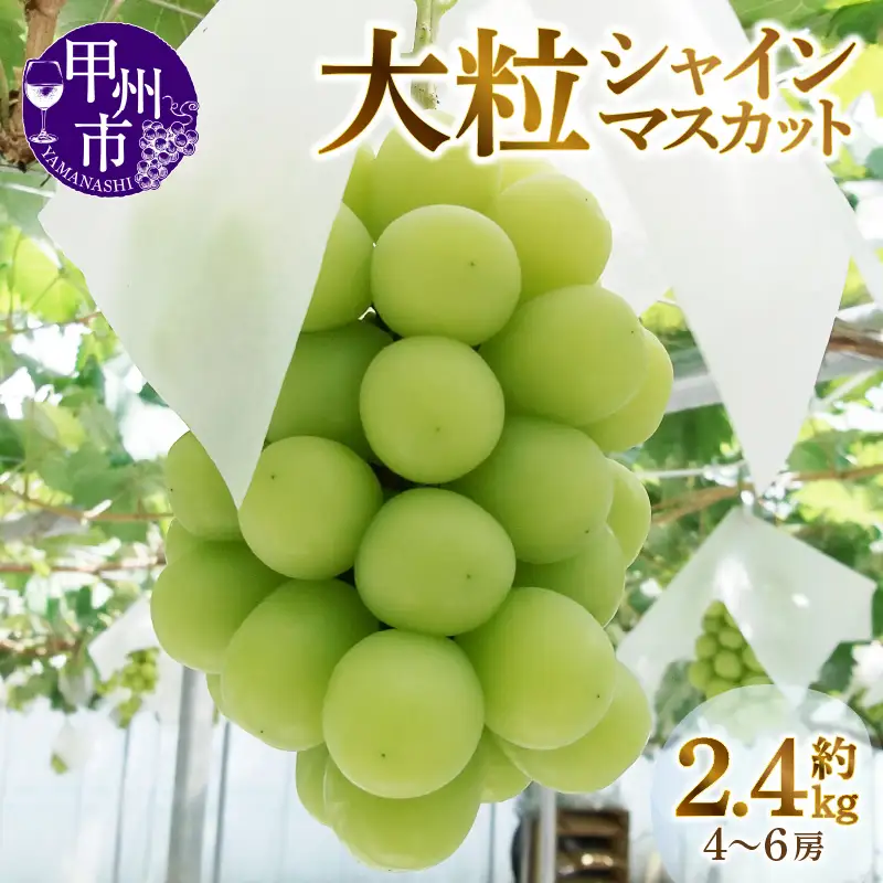 甲州市産厳選大粒シャインマスカット約1.2kg 2～3房×2箱【2026年発送】（MG）C1-480 シャインマスカット フルーツ