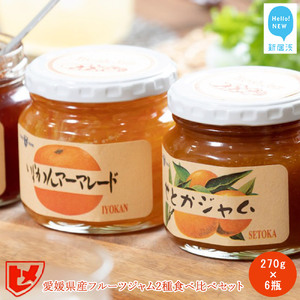 訳あり 愛媛県産フルーツジャム（せとか・伊予柑）2種食べ比べセット（270g×6瓶） みきゃんの列車箱入り フルーツ ジャム マーマレード 愛媛果汁食品 愛媛 新居浜