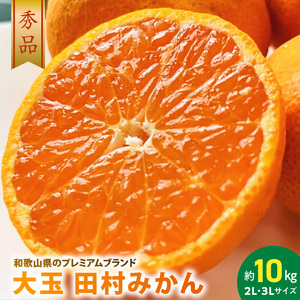 【2026年先行予約】大玉田村みかん 2L・3Lサイズ 秀品 約10kg _ 和歌山プレミアムブランドみかん 大粒有 大きい 蜜柑 ミカン フルーツ 果物 ギフト お歳暮_AB7302