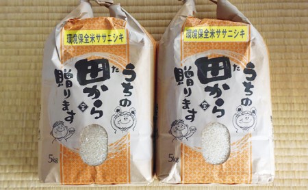 米 白米 ササニシキ 10kg ( 5kg × 2袋 )