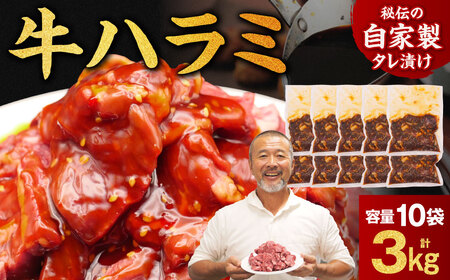 たれ漬け牛ハラミ 3kg ハラミ 牛肉 焼肉 30-055