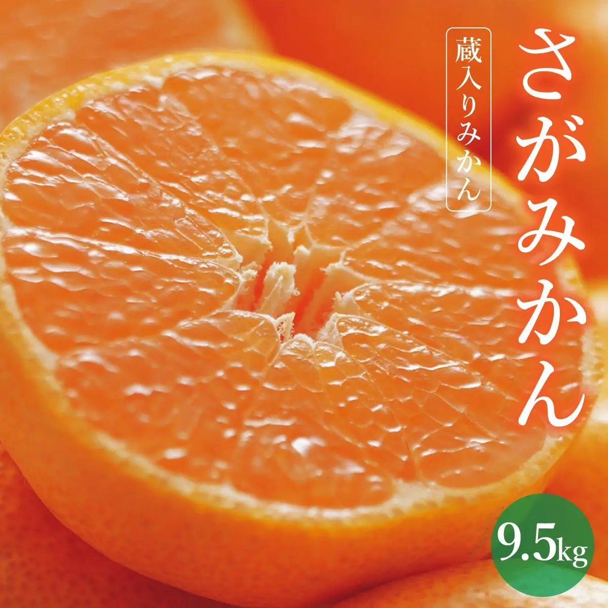 【期間限定】さがみかん （蔵入りみかん9.5kg）【温州みかん 甘い 濃厚 ジューシー コク 完熟 熟成みかん 蔵出し 蔵入り 柑橘 密柑 ギフト 果物 フルーツ 佐賀県産 佐賀県 大和 太良 石橋果樹園 人気】