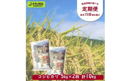 ［定期便］村の御用達米 5kg×2回 | KTm5-1