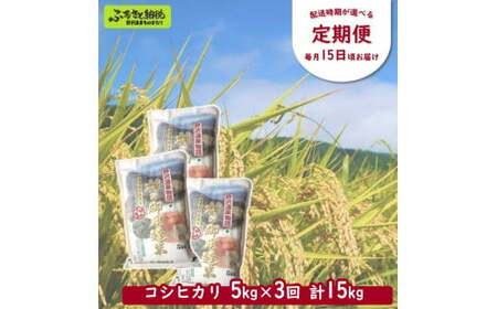 ［定期便］村の御用達米 5kg×3回 | KTm5-2