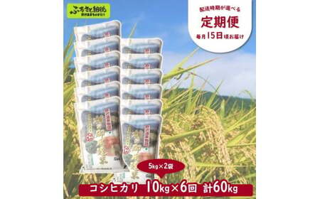 ［定期便］村の御用達米 10kg×6回 | KTm10-3