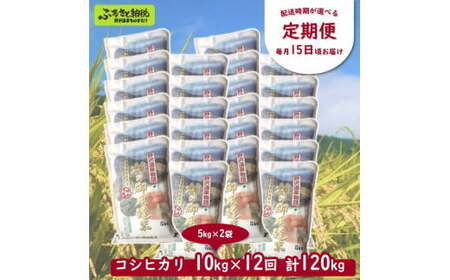 ［定期便］村の御用達米 10kg×12回 | KTm10-4