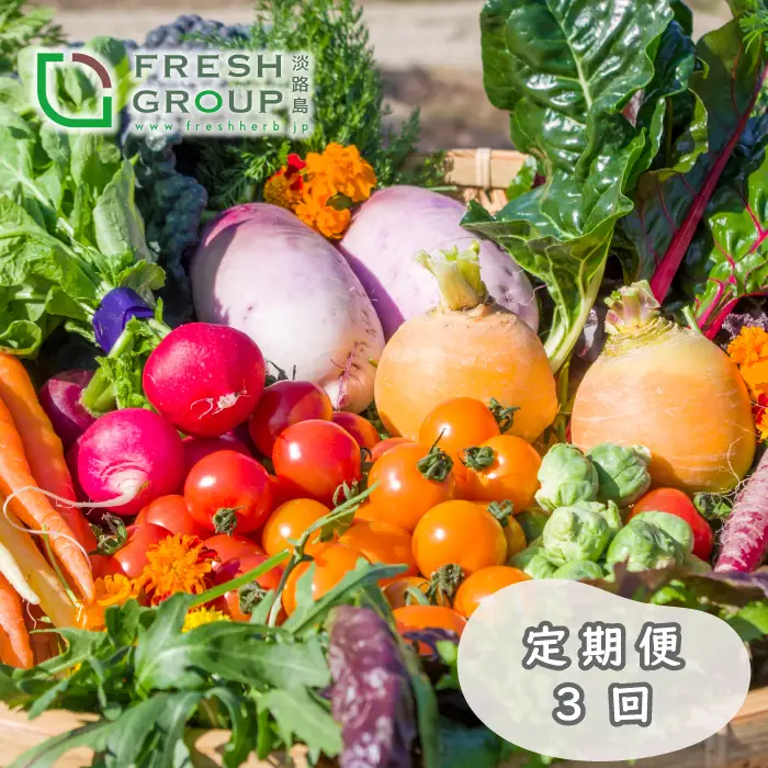 【定期便】彩り野菜と香るハーブセット　3回お届け　野菜