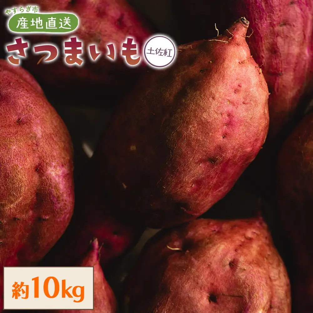 【８月発送開始】さつまいも（土佐紅）10kg - サツマイモ さつま芋 野菜 焼き芋 やきいも 焼いも おやつ スイーツ スイートポテト バター焼き アレンジ 料理 国産 高知県 香南市 yr-0146