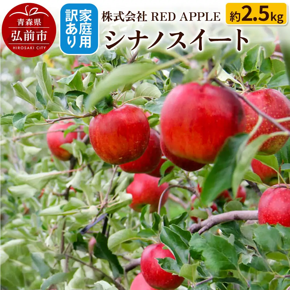 【26年10月中旬～発送】りんご【訳あり】家庭用 シナノスイート 約2.5kg 先行受付