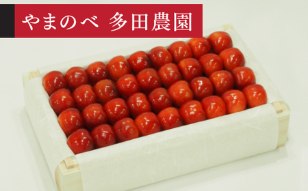 《先行予約》2027年産 山形県産 やまがた紅王 特選桐箱詰約700g やまのべ多田耕太郎のさくらんぼ tn-ybxxk700