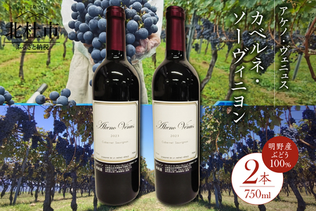 アケノ ヴェニュス カベルネ・ソーヴィニヨン 2023 750ml×2本　ワイン 赤ワイン 750ml×2本 アケノ ヴェニュス カベルネ・ソーヴィニヨン 2023 明野町ドメーヌ 自家畑 ぶどう100% 減農薬 程よい酸味 爽やか 日頃飲み 贈りもの ギフト 明野産 山梨県 北杜市 [h317]