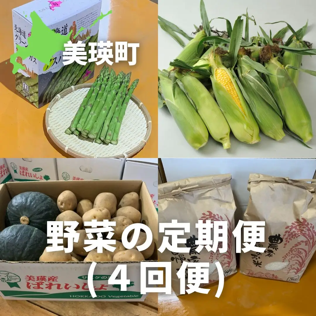 【先行予約】野菜 定期便 【大】 4回便 【令和9年産】 野菜 セット 詰め合わせ サスケの家