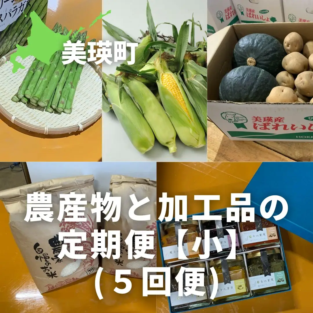 【先行予約】野菜 定期便 加工品【小】 5回便 【令和9年産】 野菜 セット 詰め合わせ