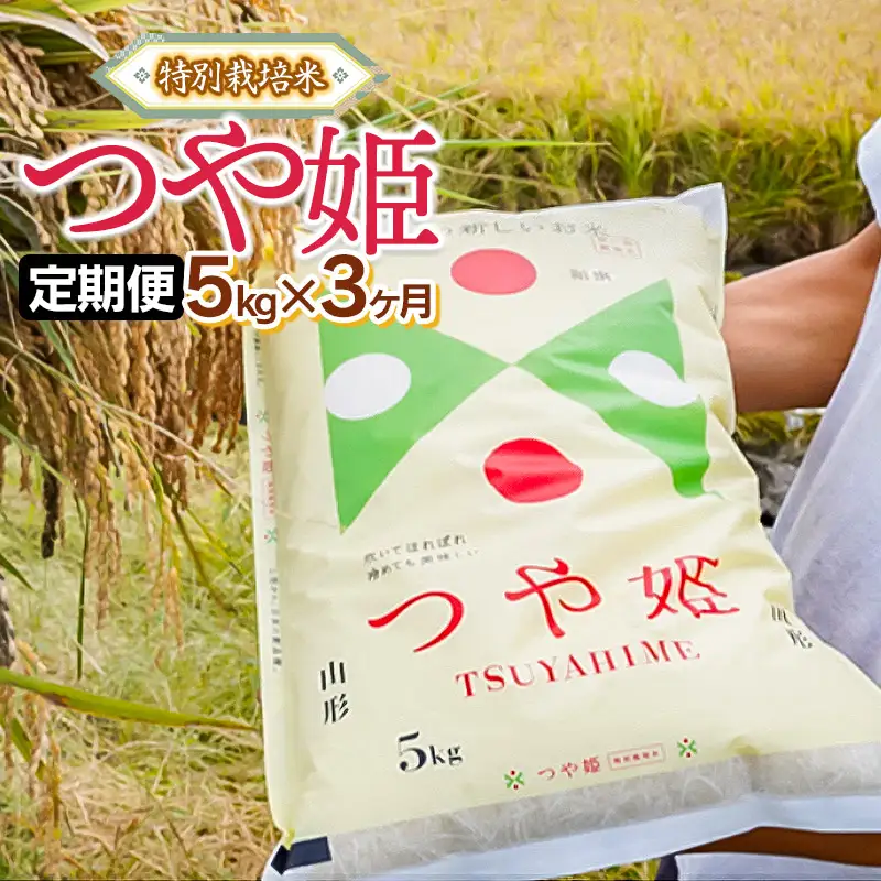 【定期便】令和7年産 特別栽培米 つや姫 精米 5kg×3ヶ月 山形県鶴岡市産 株式会社嘉左エ門
