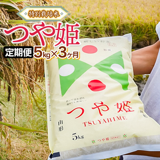 【定期便】令和7年産 特別栽培米 つや姫 精米 5kg×3ヶ月 山形県鶴岡市産 株式会社嘉左エ門