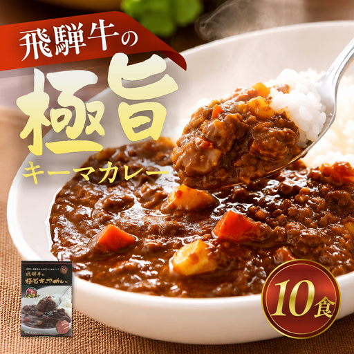 飛騨牛の極旨カレー 10食セット / カレー レトルト [AZ006]