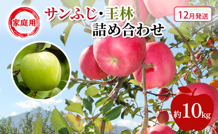 りんご 【 12月発送 】 糖度13度～家庭用 サンふじ ・ 王林 詰め合わせ 約 10kg