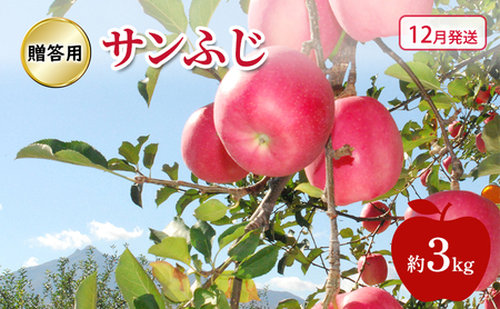 りんご 【 12月発送 】糖度13度～ 贈答用 サンふじ 約 3kg