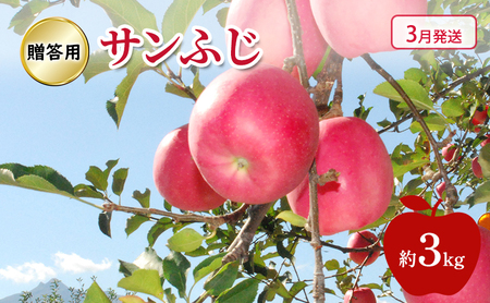 りんご 【 3月発送 】糖度13度～ 贈答用 サンふじ 約 3kg