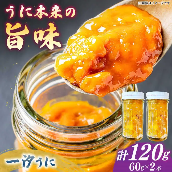  一汐うに 60g×2 [JAQ014] うに