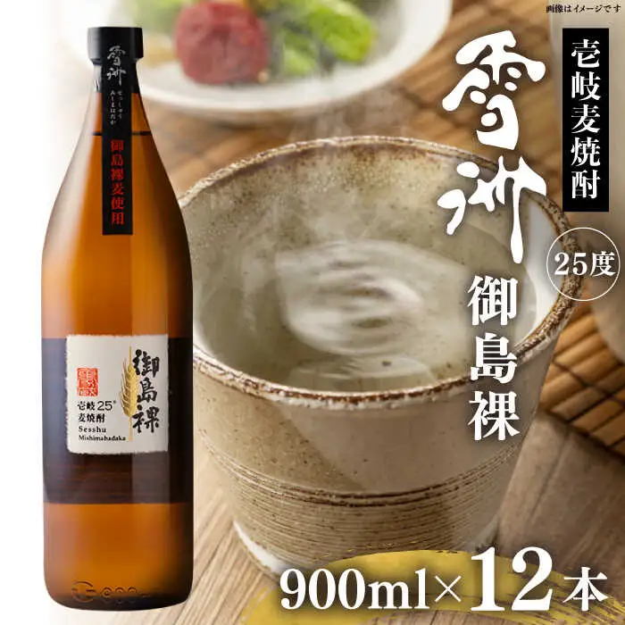 壱岐麦焼酎　雪州 御島裸（25度）12本セット [JCU011]