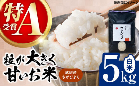 令和7年産米 さがびより 5kg /株式会社 y's company（utsu和ya）[UDX016] さがびより