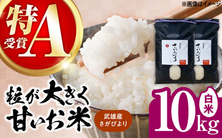 令和7年産米 さがびより 10kg /株式会社 y's company（utsu和ya）[UDX017] さがびより