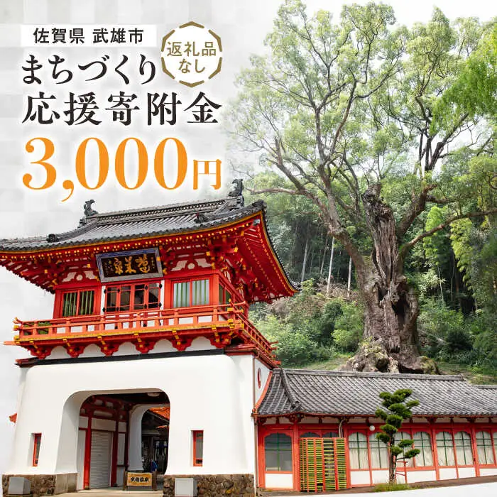 応援寄附金 武雄市 まちづくり応援寄附金 返礼品なし（3,000円分）[UZZ102]