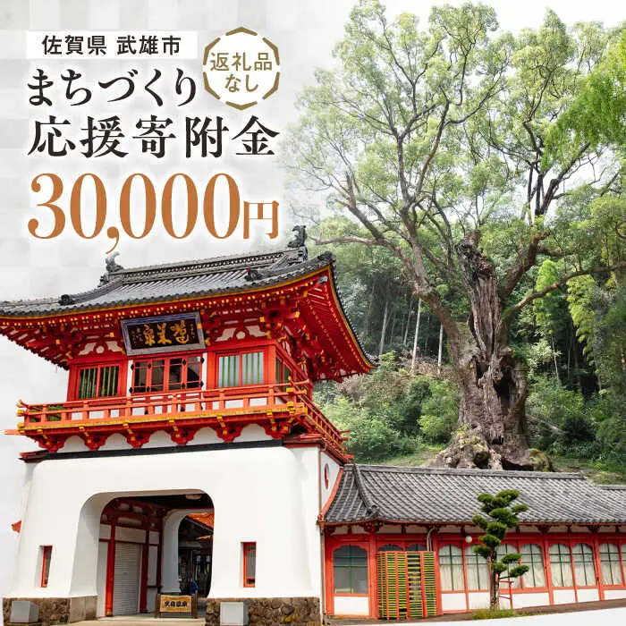 応援寄附金 武雄市 まちづくり応援寄附金 返礼品なし（30,000円分）[UZZ106]