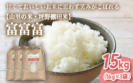 山の湧き水 寒暖差 山里 山里の米･坪野米 R7年産 富富富 15kg（5kg×3）※北海道・沖縄・離島への配送不可