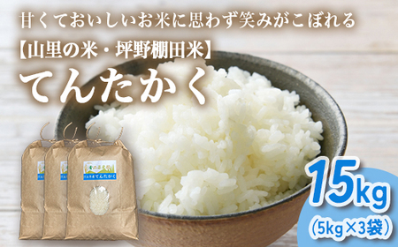 山の湧き水 寒暖差 山里 山里の米･坪野米 R7年産 てんたかく 15kg（5kg×3）　※北海道・沖縄・離島への配送不可