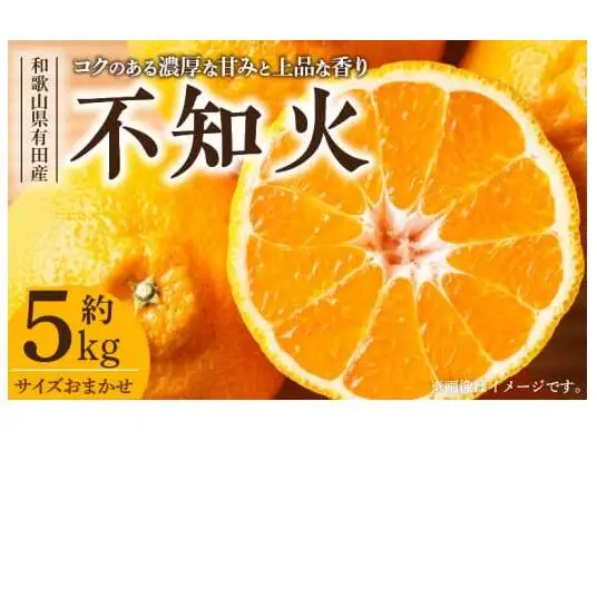 【2027年先行予約】デコ 不知火 約5kg 和歌山県有田産 春みかん (果実サイズおまかせ) 春みかん 紀伊国屋文左衛門本舗_V7412