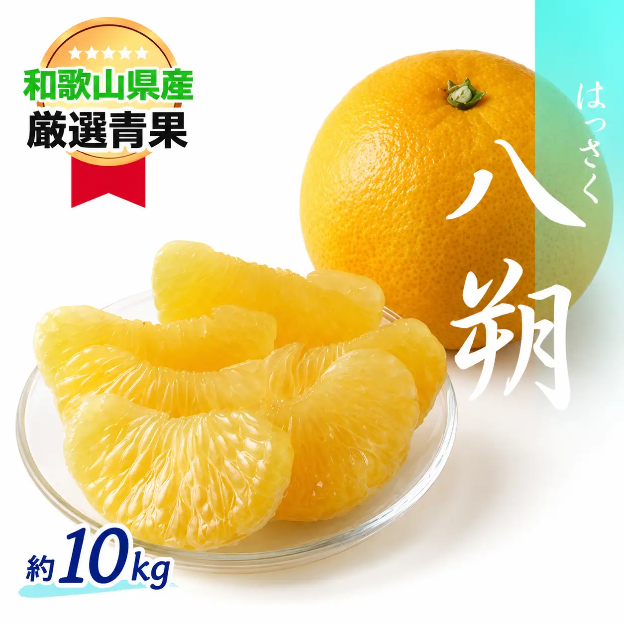 【ぷちぷち食感】八朔(約10kg)【2月上旬～発送予定】【A024-frks015A】